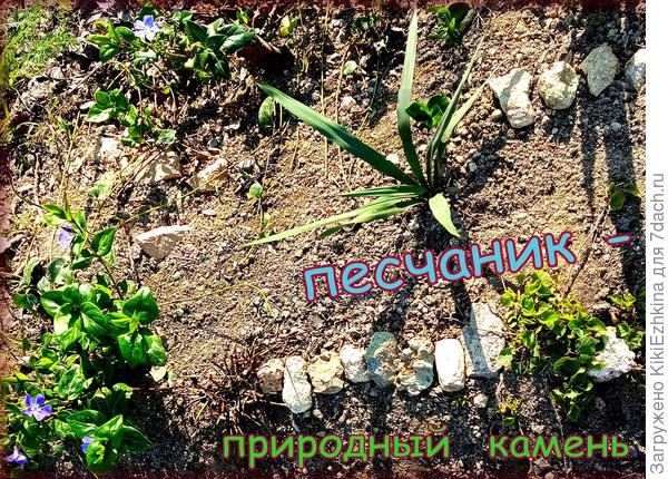 Что точно понимаю  -  не кислая  у нас  почва!