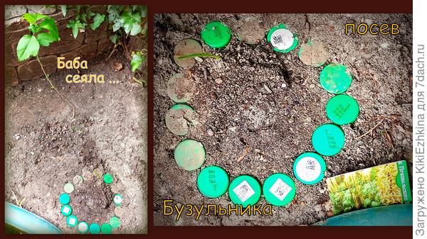 Мечта  о Бузульнике...