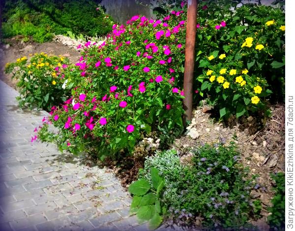 Вот так  выглядят  мои зазаборники в 10 часов  вечера под фонарями...