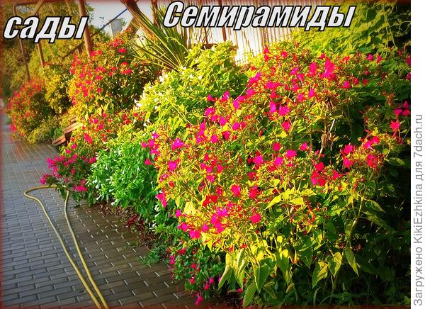 фрагмент  моего Зазаборья...