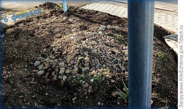 Сначала -расчистила землю от сорняков и камешков....