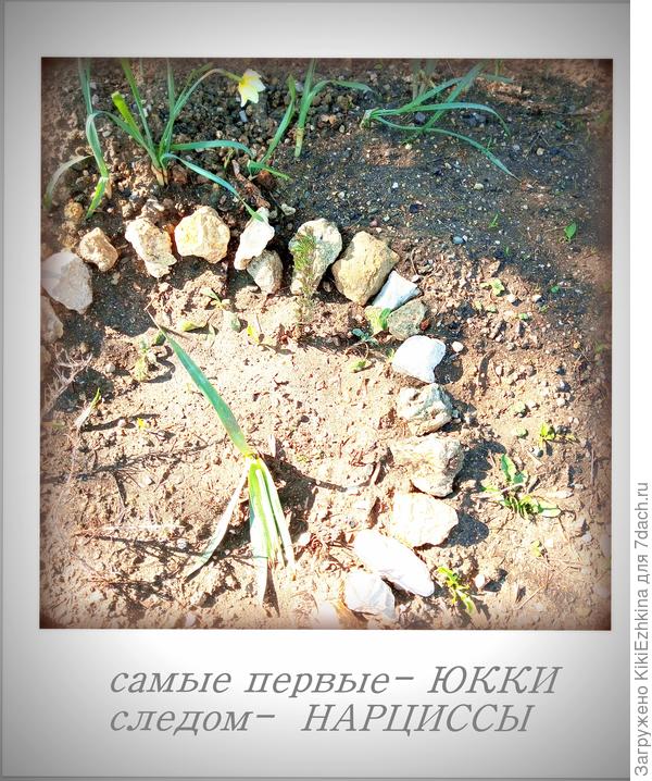 голая  глина и солнцепёк