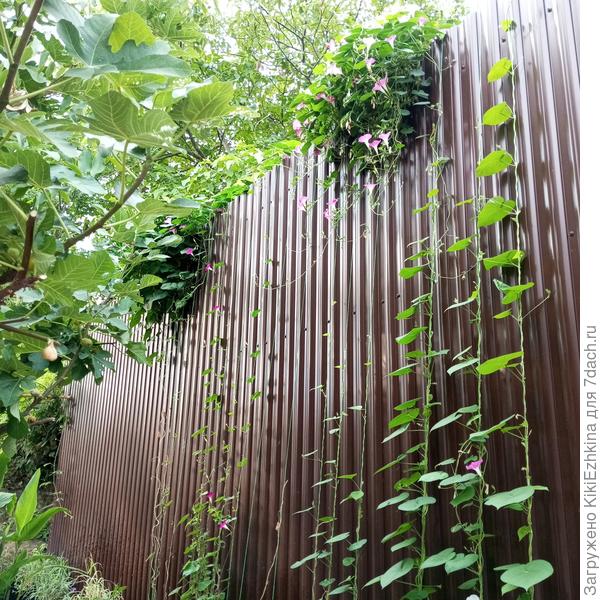 вот оно,  моё зазаборье...