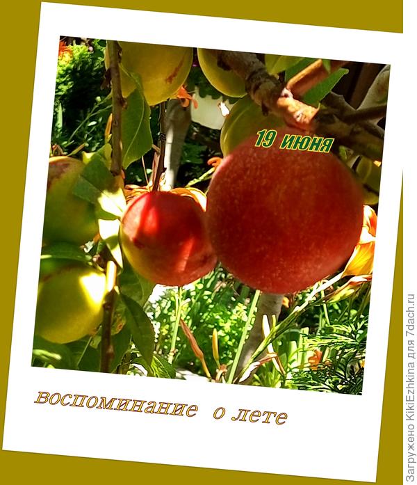 А о таких вкусняшках только  осталось вспоминать!