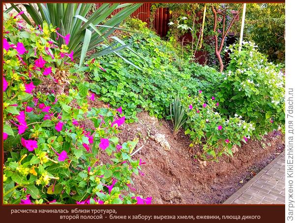 Это мой  полигон по расчистке Зазаборья...