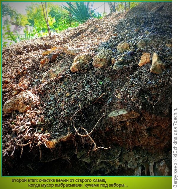 Чего только не приходится вытаскивать: огромные булыжники, разно-размерную гальку, мусор: клеёнки,полиэтилен, внутри которого заплелись корни  Хмеля! Плюс: стеклотара разнокалиберная, жестянки и  железки, плюс проволока всевозможная.  Скоро копать землю в этом месте -будет абсолютное удовольствие -  грунт будет  пуховый!