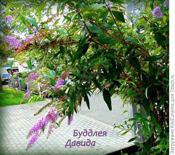 Привет Владивостоку от Севастополя!