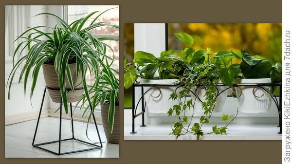 Вот таким  способом  можно спасти свои горшки, главное-  найти такое в продаже... и по доступной  цене...