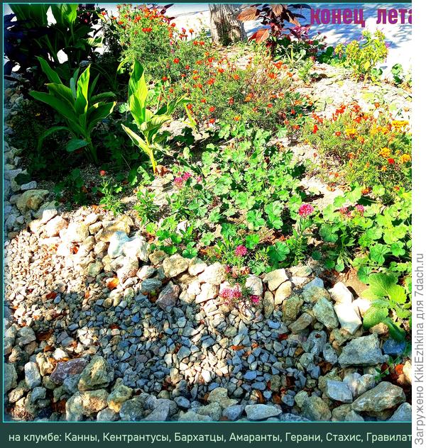 Сами видите какой  солнцепёк! Непростое это местечко для цветов! Надо разводить засухоустойчивые  многолетники...