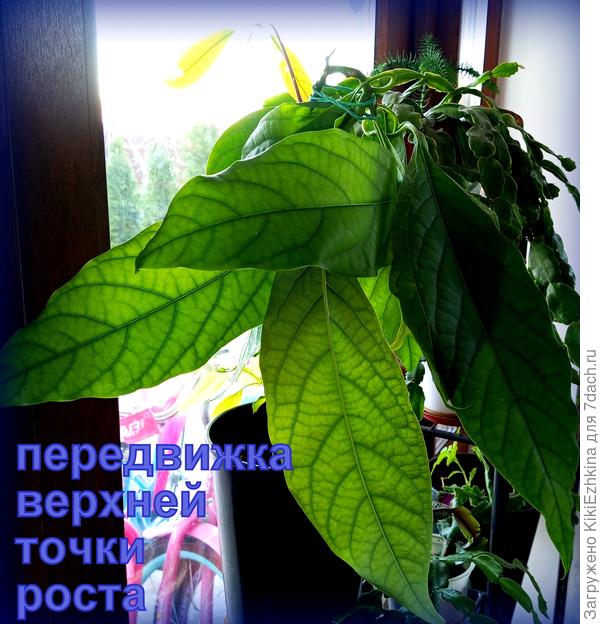 переместила место изгиба...