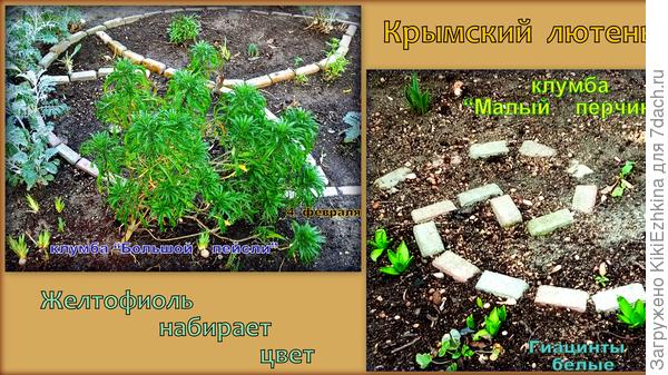 Мои индийские огурцы: Большой и Малый... Фрагменты...