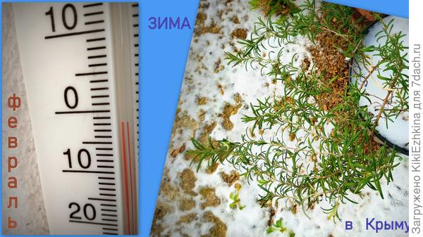 День случился по-зверски холодным- передвигались перебежками от двери к машине... Ветрище!