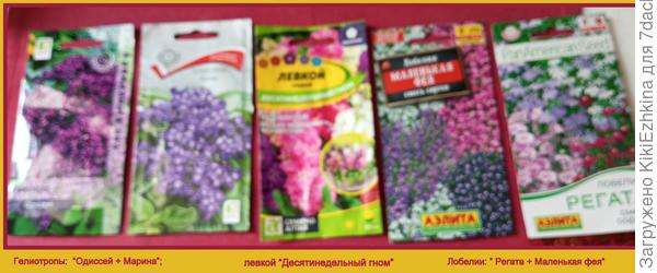 К сожалению фото- размытое... Но названия цветов я обозначила...  Вот что планирую посеять в этом году на рассаду...