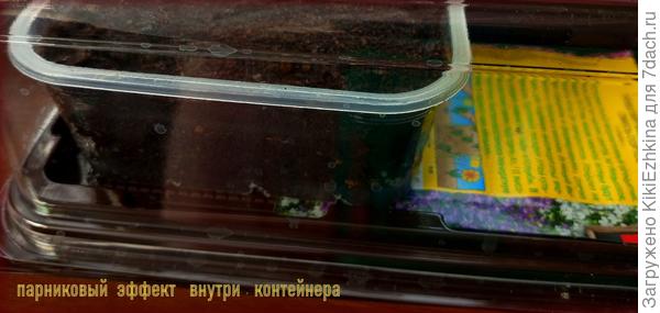 к 24 февраля +  7 дней... После  3  марта  имеет  смысл  присмотреться  к  почве- вдруг всё-таки появятся всходы?