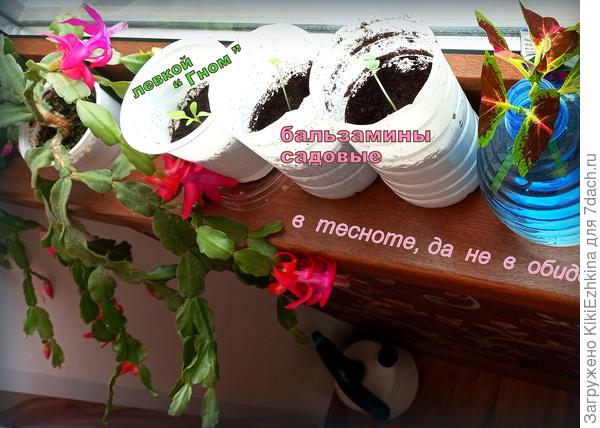 Уже в ход пошли все посудины , какие только можно приспособить...