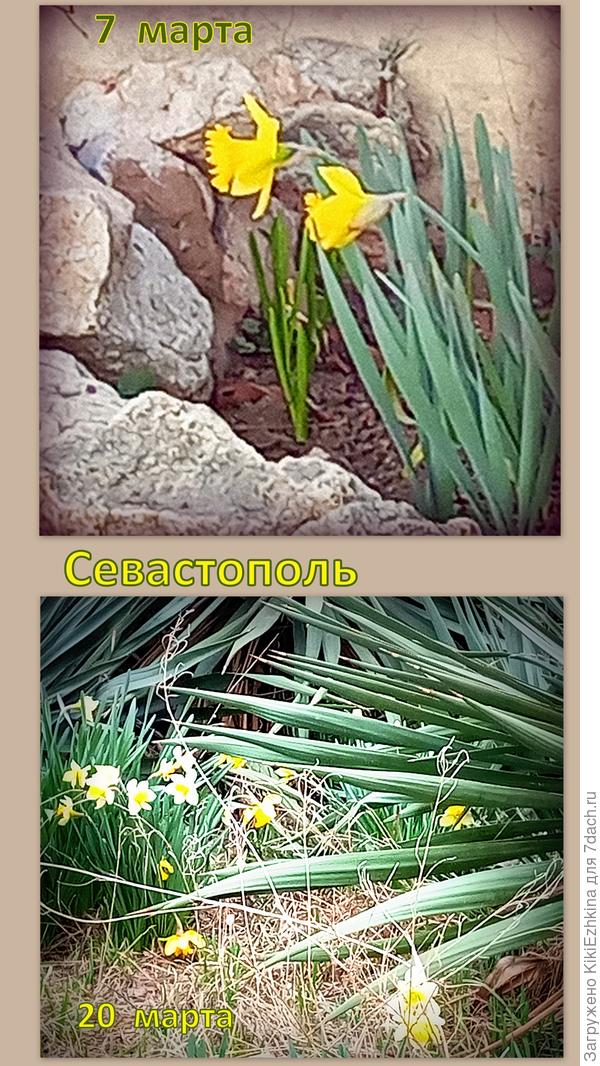 Собранные  мною фотофакты... Севастополь в марте...