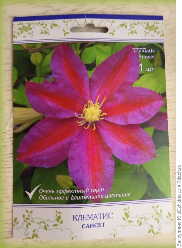 Все  три корешка  одного и того же сорта:   Сансет