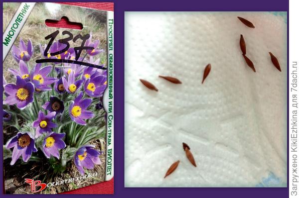 И  мы  присоединяемся  к вашей  большой  компании!