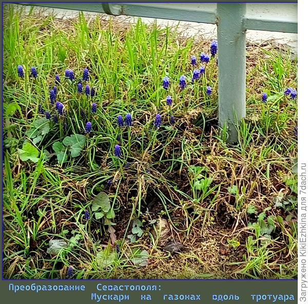 Обожаю наблюдать за  преобразованиями внутри города!