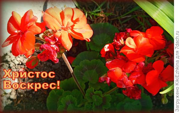 А вот  и новички из нашего сада так же  празднуют вместе с нами Светлую Пасху!