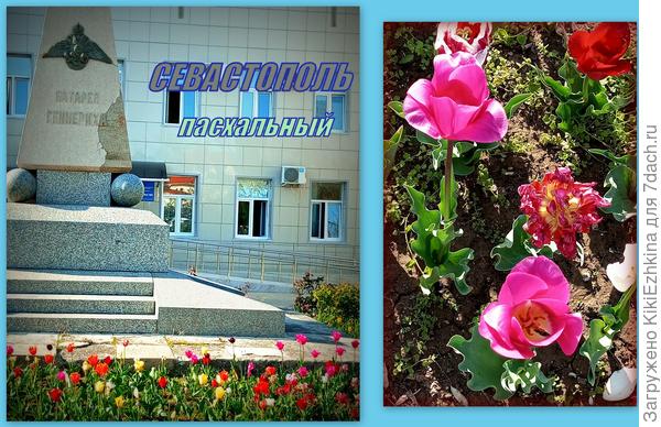 вот  они, мои  любимые  расцветочки...