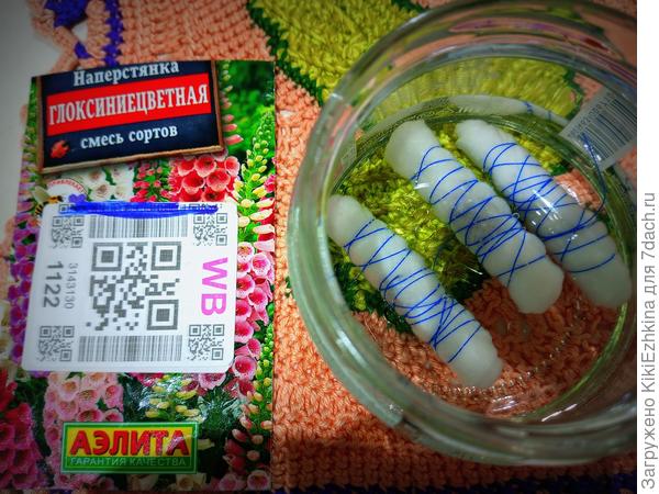 Семена  замочила, через 2 суток  в марганцовке розовой   продержала,  промыла и  ещё  подержала в чистой воде...