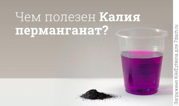 Вот такого цвета Газания...  Этот цвет меня удивил, часто встречабтся  либо ярко рыжие и  ярко-жёлтые  или белые  с рыжеватым ободком...  А тут вдруг откуда ни возьмись- такая  цыганщина!  В моём вкусе!  :)