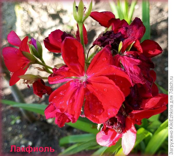 "Не стареют душой ветераны!" :)