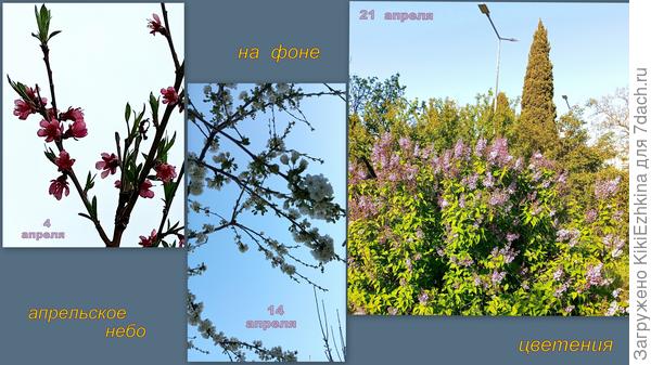 Очевидно заметно,   что небо  не майское!