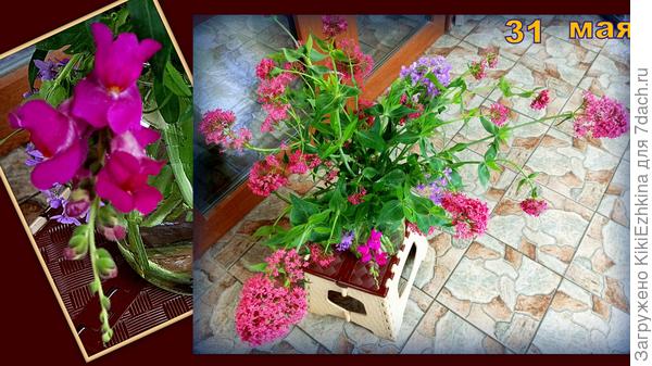 Вот такой  букет в  конце мая: в него попадают все те, кто  наклоняется над  дорожками и мешают проходам... Вот такие  они, вольнодумцы!  :)