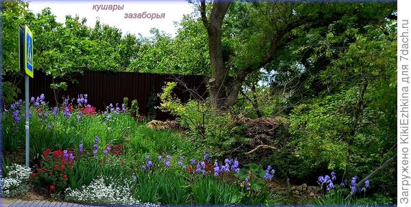 так было в мае...