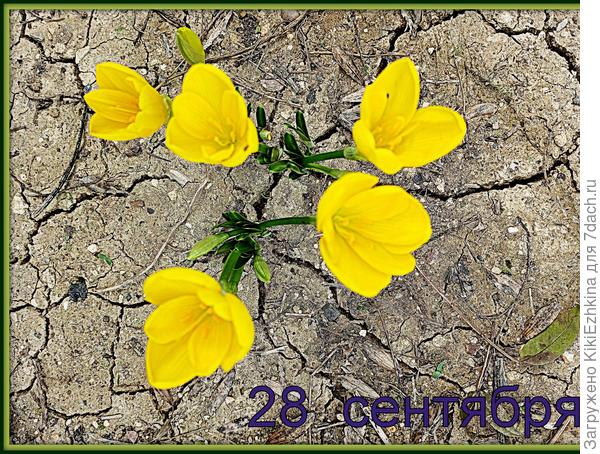 Такая была вначале осень!