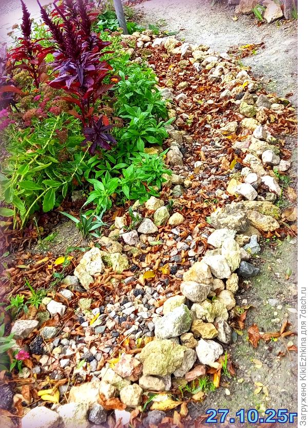 По советам  наших семидачников я   дно ручья застелила полиэтиленом- в итоге трава снизу не ползёт, однако как видим- листвы  сверху нападало- уйма,  придётся выбирать из камней!