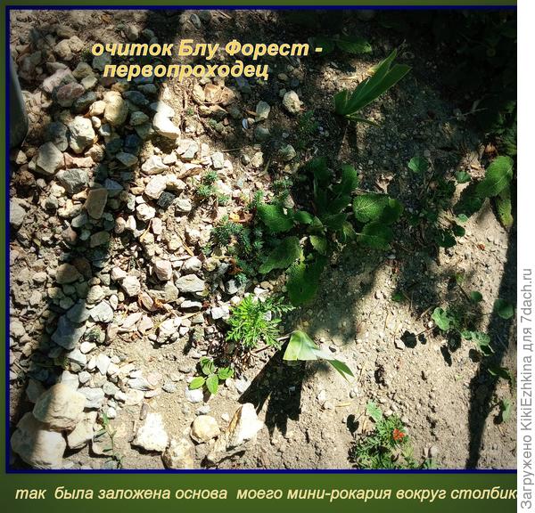 Вот оно скромное начало  моих каменных цветников...