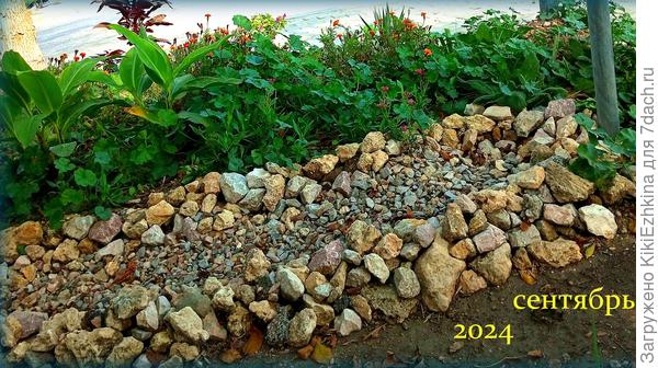 Мой сухой ручей  два года назад...