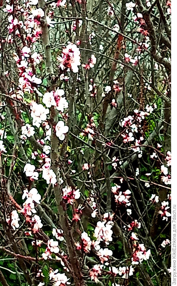 Съёмка из окна - через стекло...