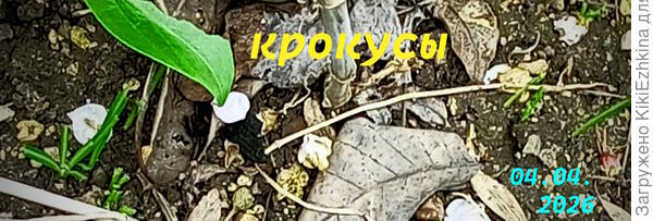 Нет справедливости на земле! :)