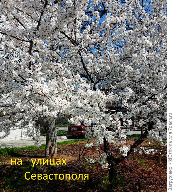 Невозможная красота!