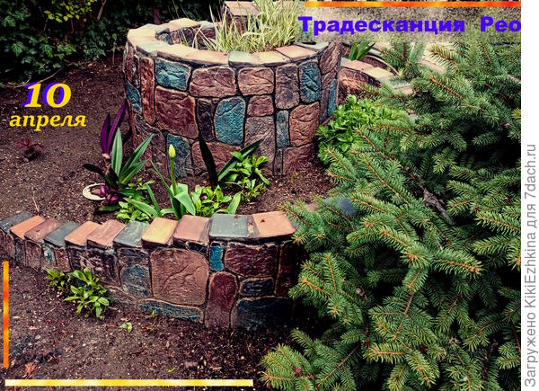 Этим повезло больше- досталось более  освещённое место и как видите - пока стоят бодрячком!