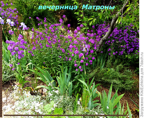 Вот он  результат наших весенних дождей...