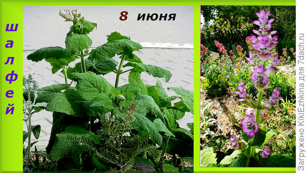 Изменения  за последние три дня...