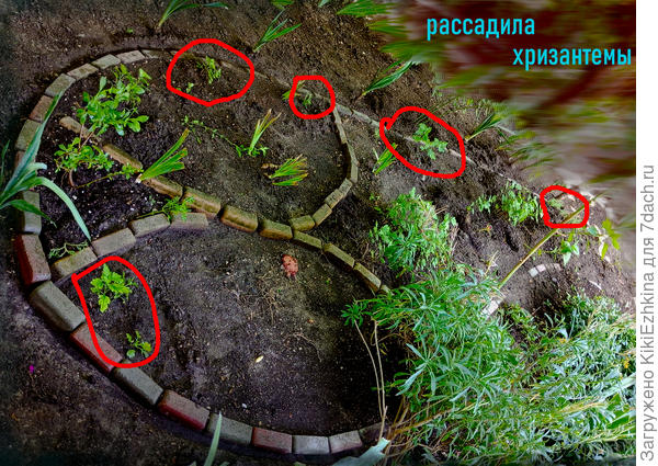 Посмотрим - что нарастёт к осени...