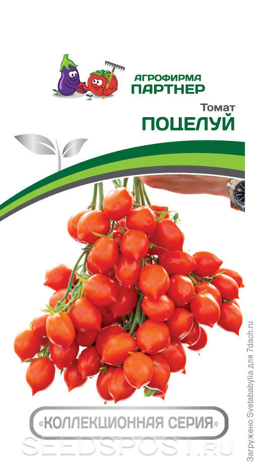 помидоры