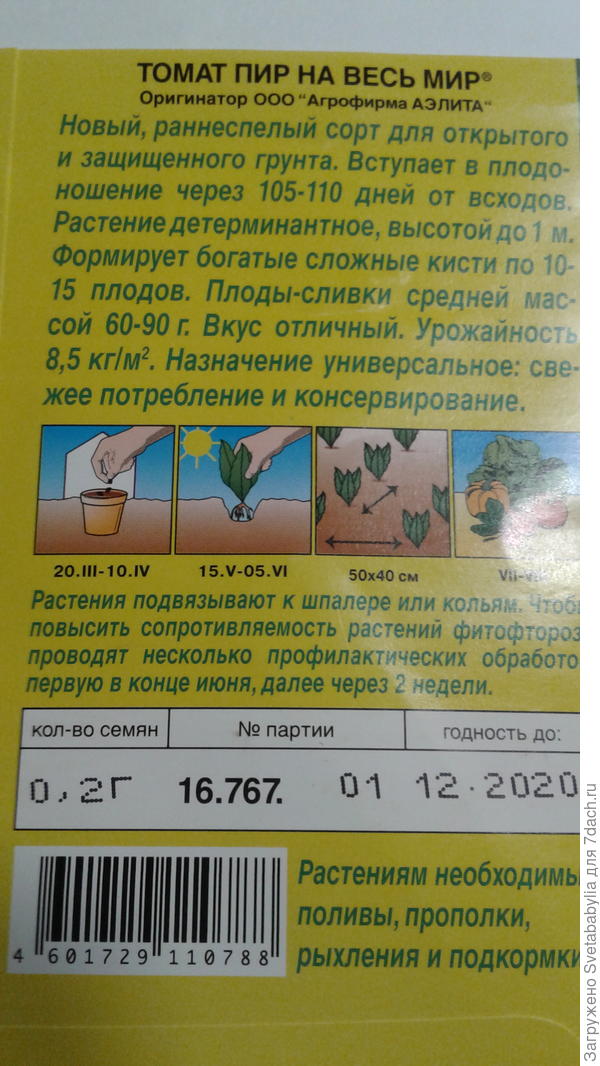 Ну очень урожайный. Вкус-с легкой кислинкой. Было 3 кустика,росли не в лучших условиях( почти под вишней).