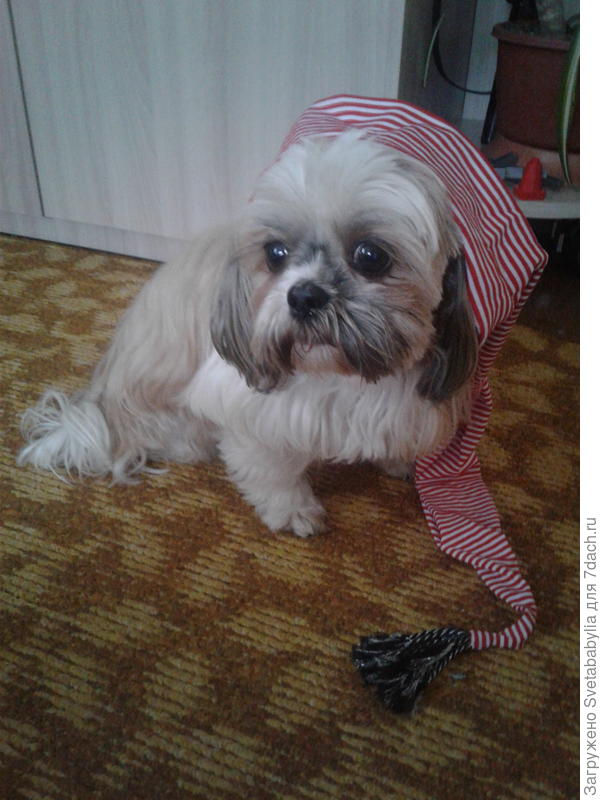 И от нас спасибо+++