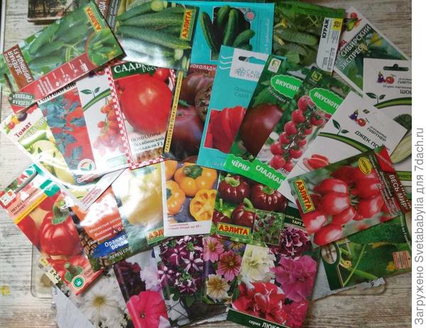 Пишите письма !!!