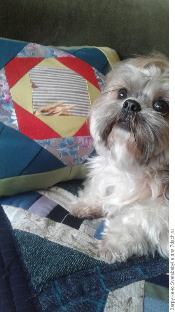 Сонина сонька