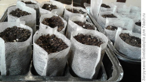 Опыт Натальи с бочонками из трубы очень интересен!