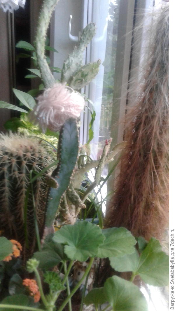 Доброго дня!