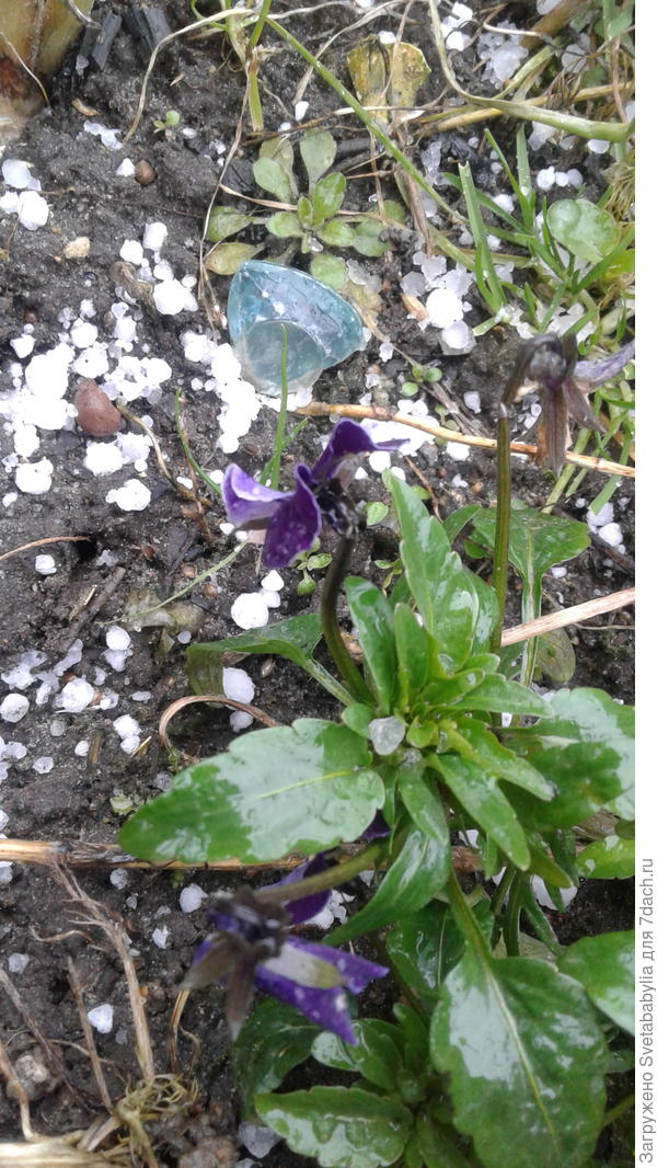 Неожиданно